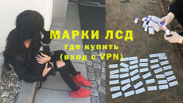 спиды Абаза