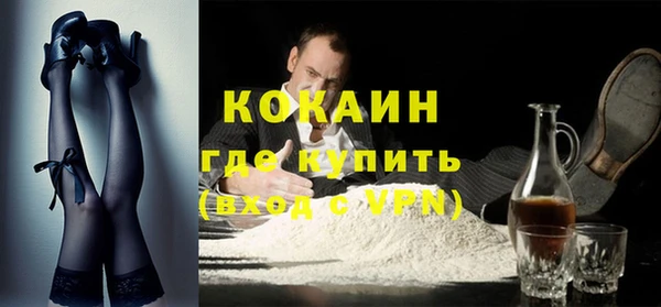 прущие грибы Абинск