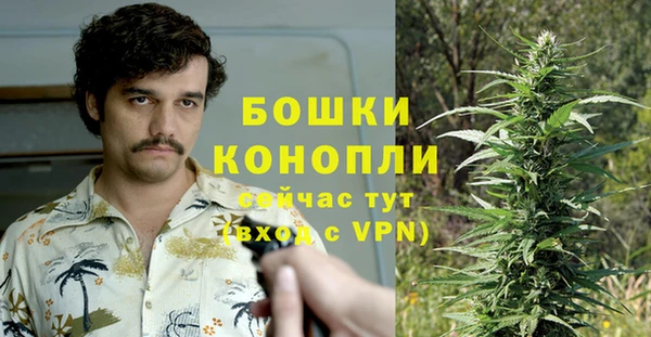 прущие грибы Абинск