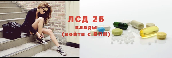 прущие грибы Абинск