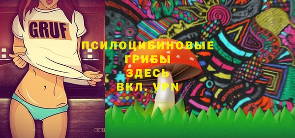 спиды Абаза