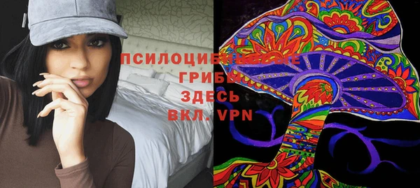 прущие грибы Абинск