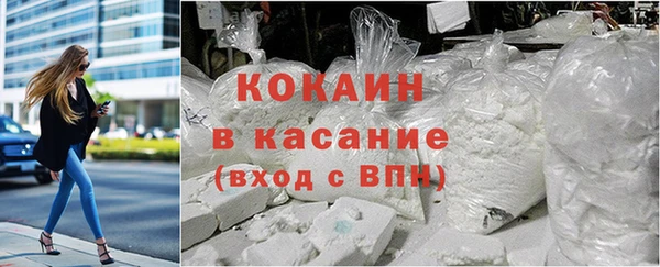 прущие грибы Абинск