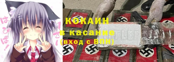 прущие грибы Абинск