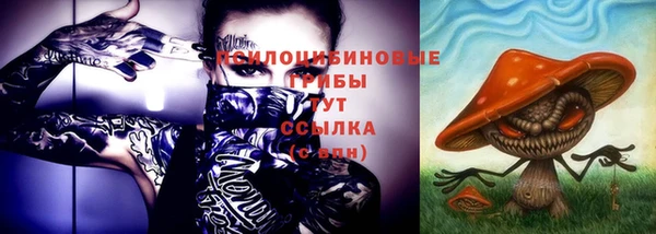 тгк Новокубанск