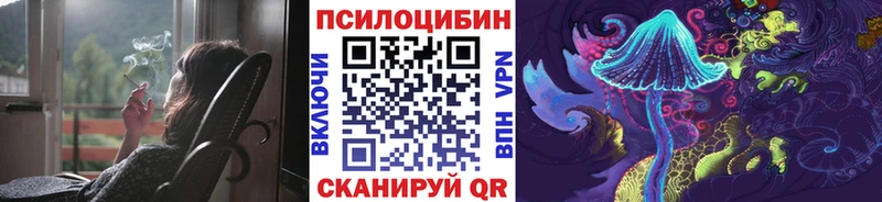 мориарти клад  купить  сайты  Николаевск-на-Амуре  Псилоцибиновые грибы мухоморы 